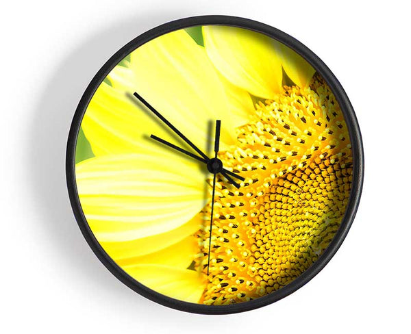 Sunflower Close-up Clock - Wallart-Direct UK