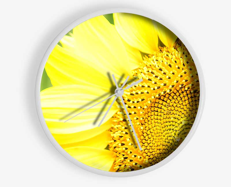 Sunflower Close-up Clock - Wallart-Direct UK