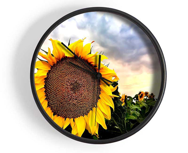 Sunflower Close Up In The Sky Clock - Wallart-Direct UK