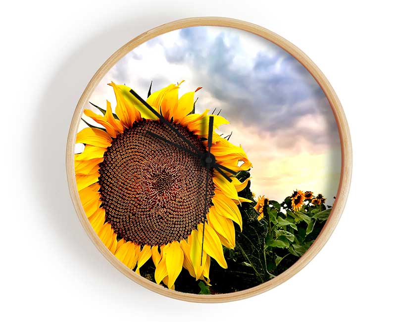 Sunflower Close Up In The Sky Clock - Wallart-Direct UK