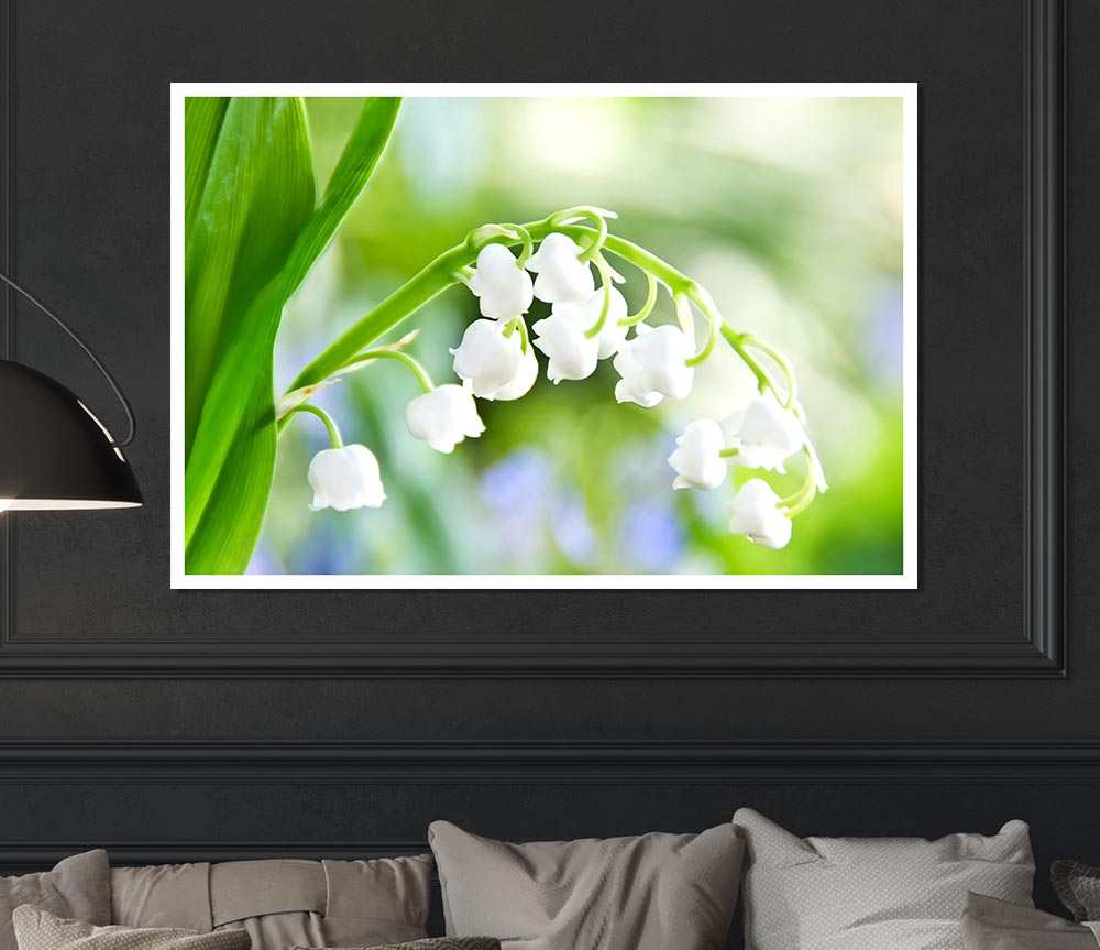 Lily Of The Valley Print Poster Wall Art