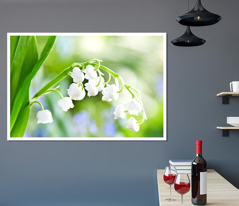 Lily Of The Valley Print Poster Wall Art