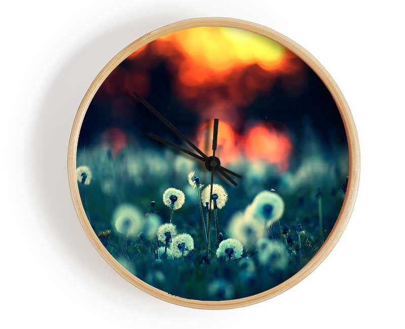 Dandelions At Sunset Clock - Wallart-Direct UK