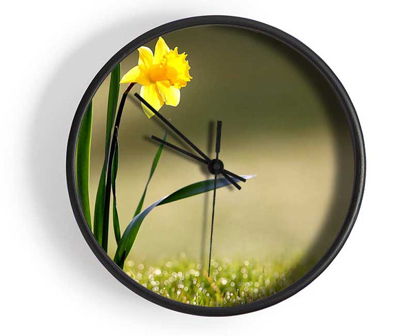 Single Daffodil Clock - Wallart-Direct UK