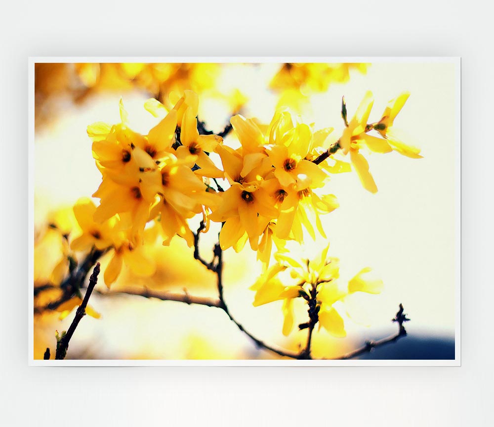 Yellow Tree Flower Print Poster Wall Art