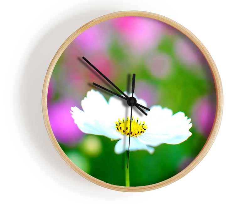 White Cosmos Clock - Wallart-Direct UK