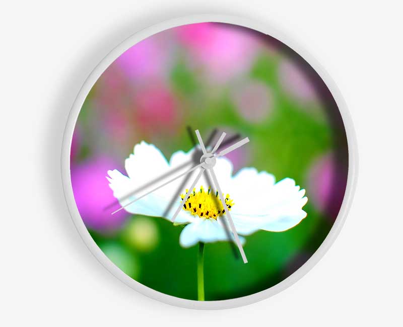 White Cosmos Clock - Wallart-Direct UK