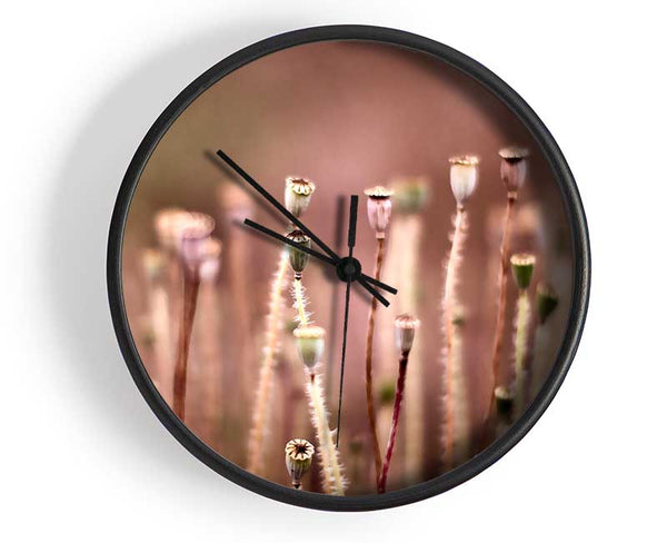 Poppy Pods Clock - Wallart-Direct UK