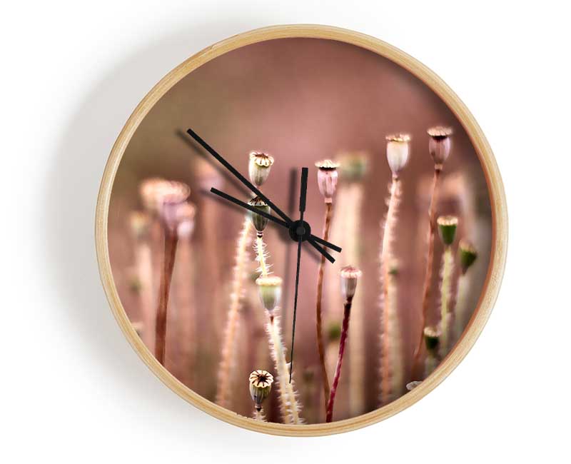 Poppy Pods Clock - Wallart-Direct UK