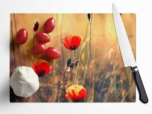 Red Poppy Sun Rays Glass Chopping Board