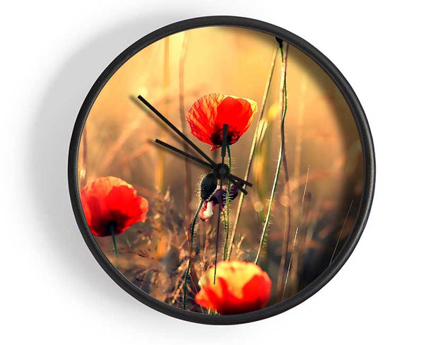 Red Poppy Sun Rays Clock - Wallart-Direct UK