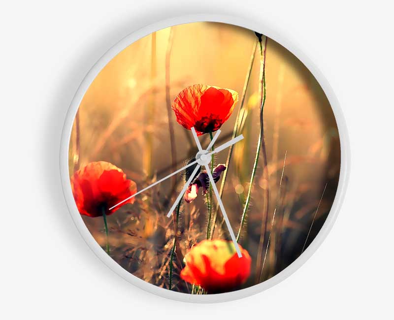 Red Poppy Sun Rays Clock - Wallart-Direct UK