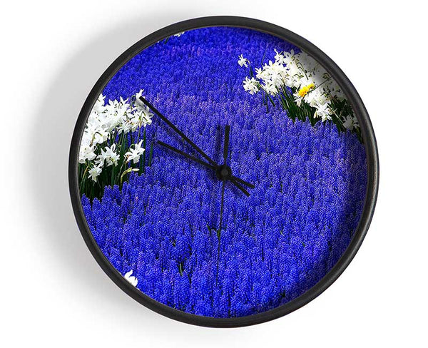 Grape Hyacinths And Daffodils Clock - Wallart-Direct UK