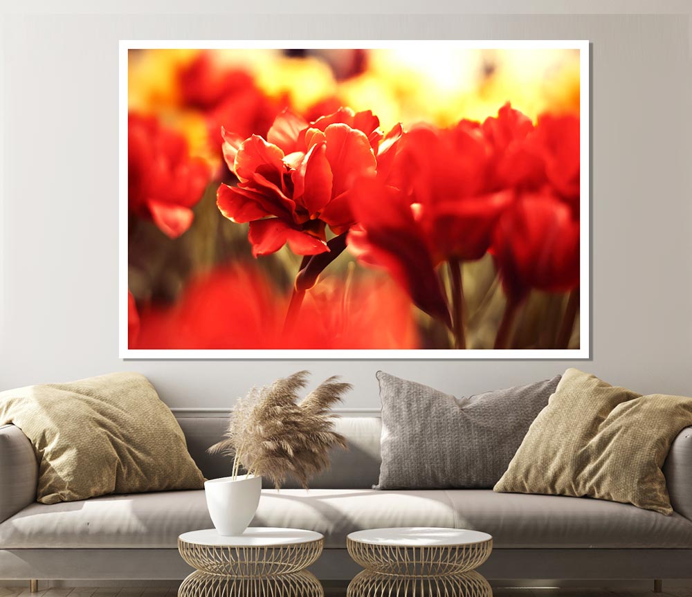 Beautiful Red Flowers Print Poster Wall Art