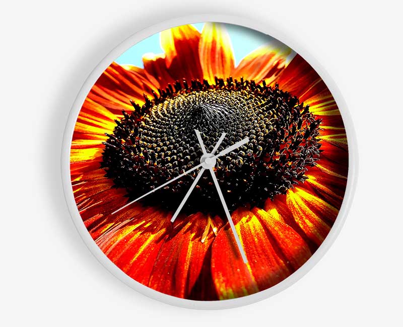 The Sunflower Clock - Wallart-Direct UK