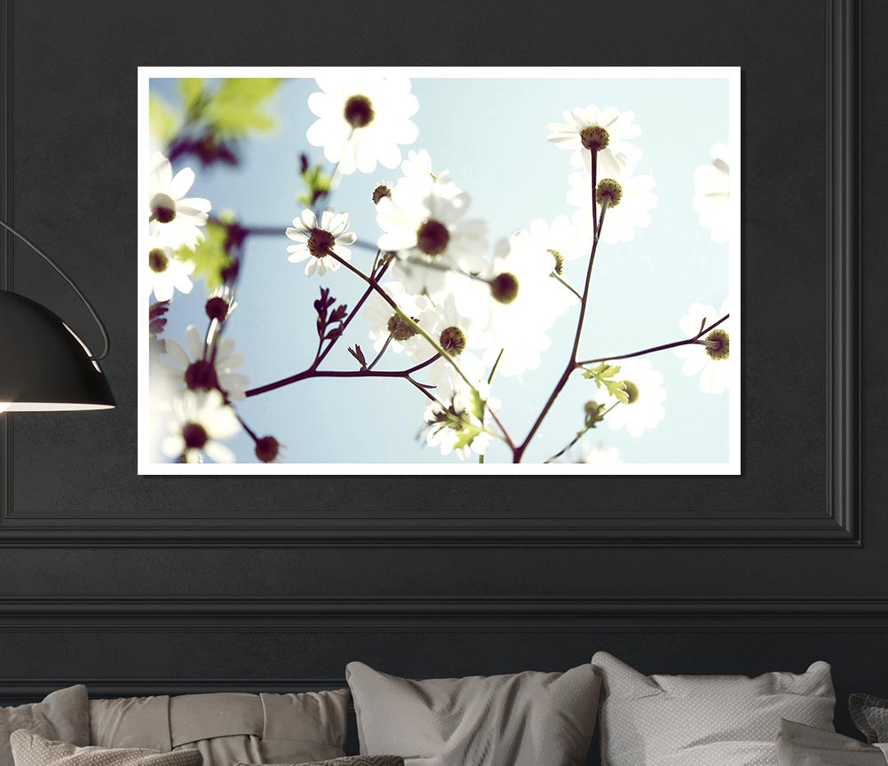 White Summer Flowers Print Poster Wall Art