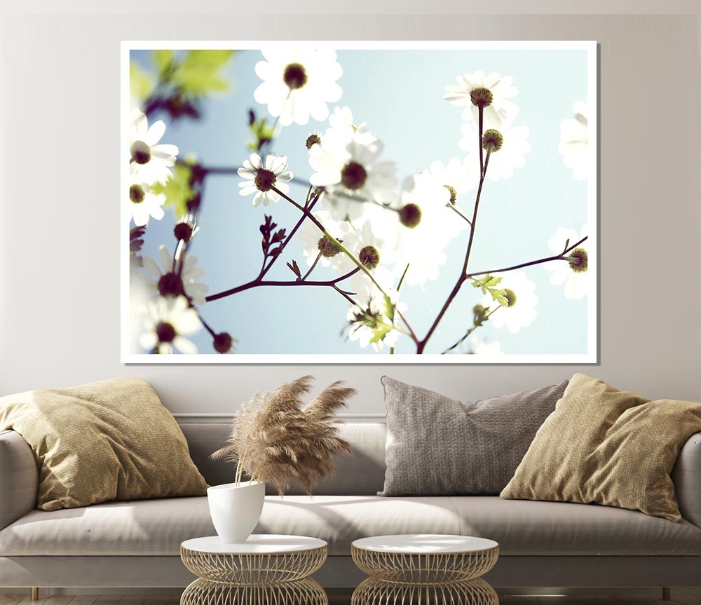 White Summer Flowers Print Poster Wall Art