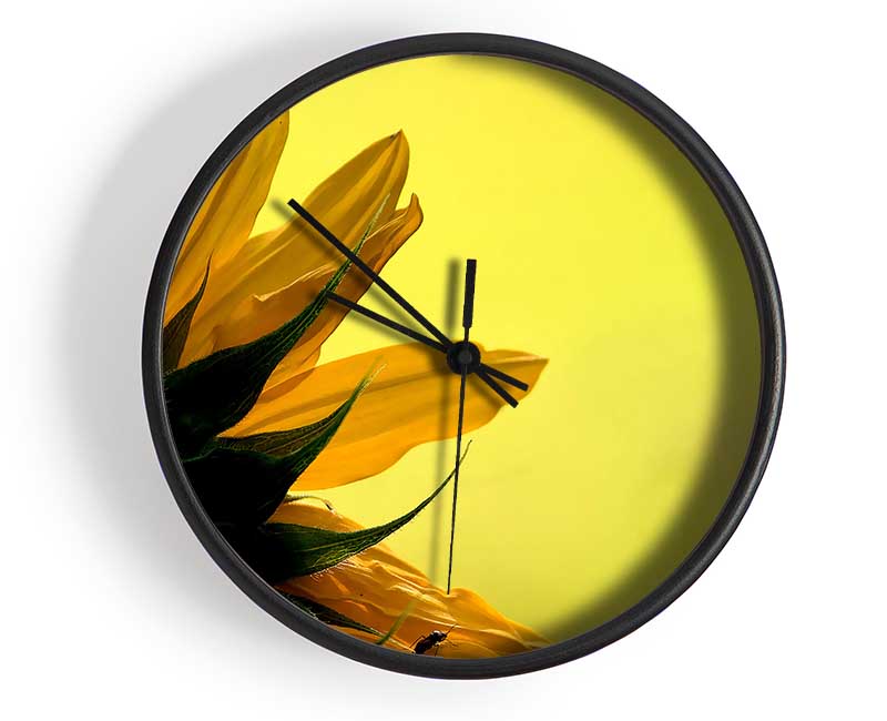 Sunflowers Macro Clock - Wallart-Direct UK