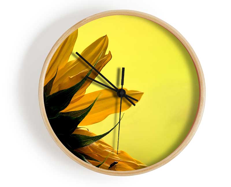 Sunflowers Macro Clock - Wallart-Direct UK