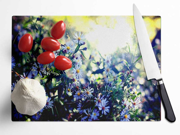 Daisy Mayhem Glass Chopping Board