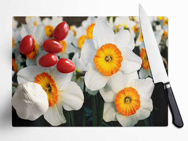 White Daffodils Glass Chopping Board