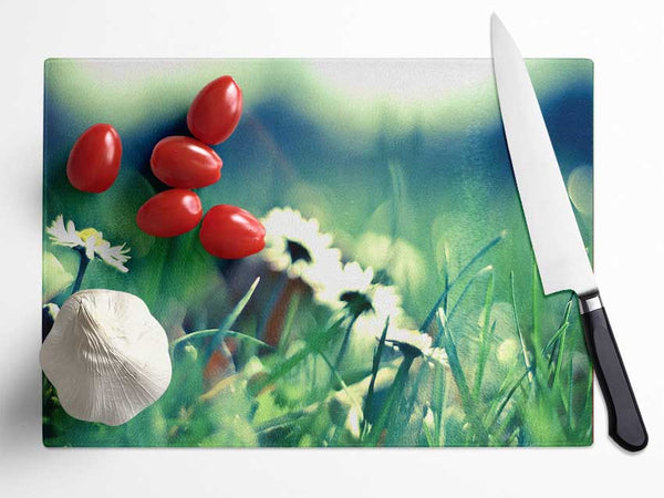 Daisies And Grass Glass Chopping Board