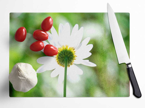 Daisy In The Sun Glass Chopping Board