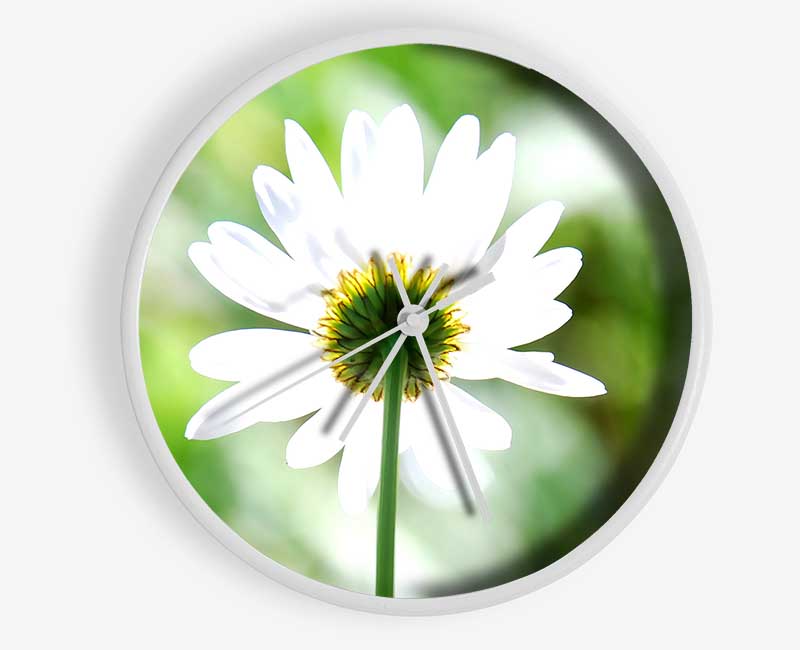 Daisy In The Sun Clock - Wallart-Direct UK