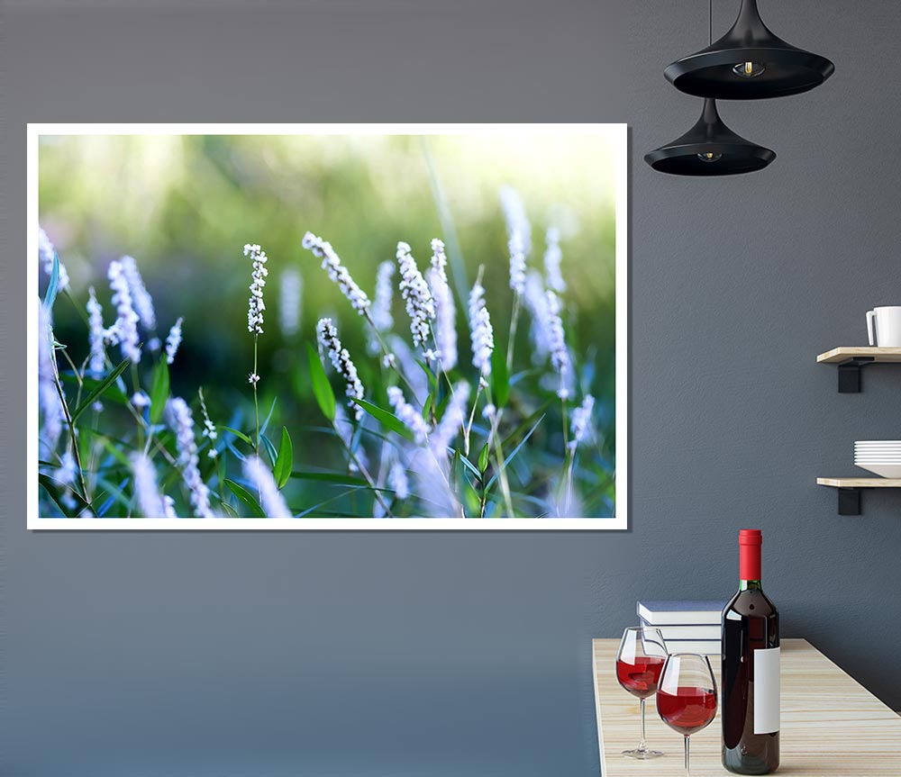 Blue Field Flowers Print Poster Wall Art