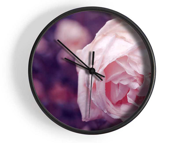 Delicate Pink Dew Rose Clock - Wallart-Direct UK