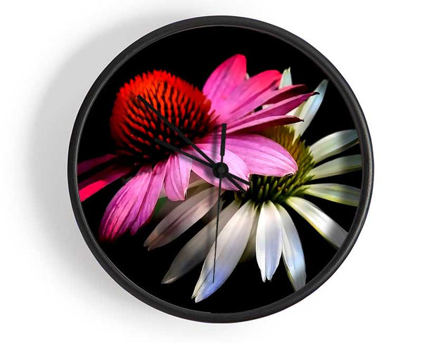 Cone Flowers Black Background Clock - Wallart-Direct UK