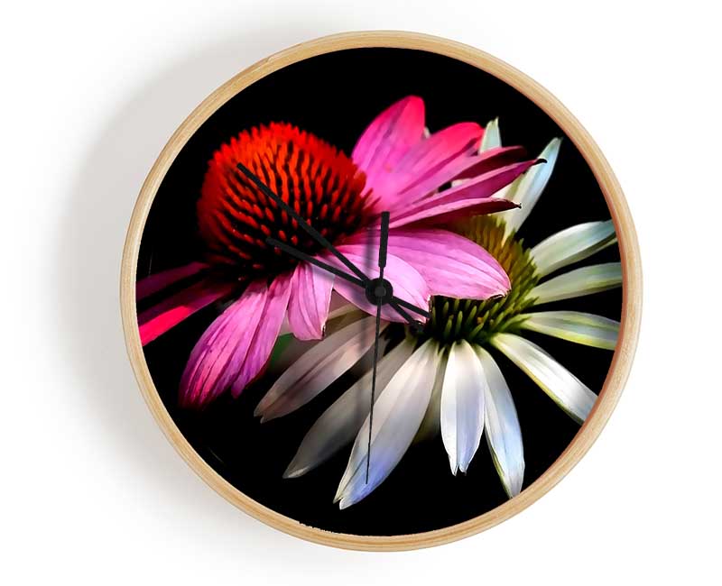 Cone Flowers Black Background Clock - Wallart-Direct UK