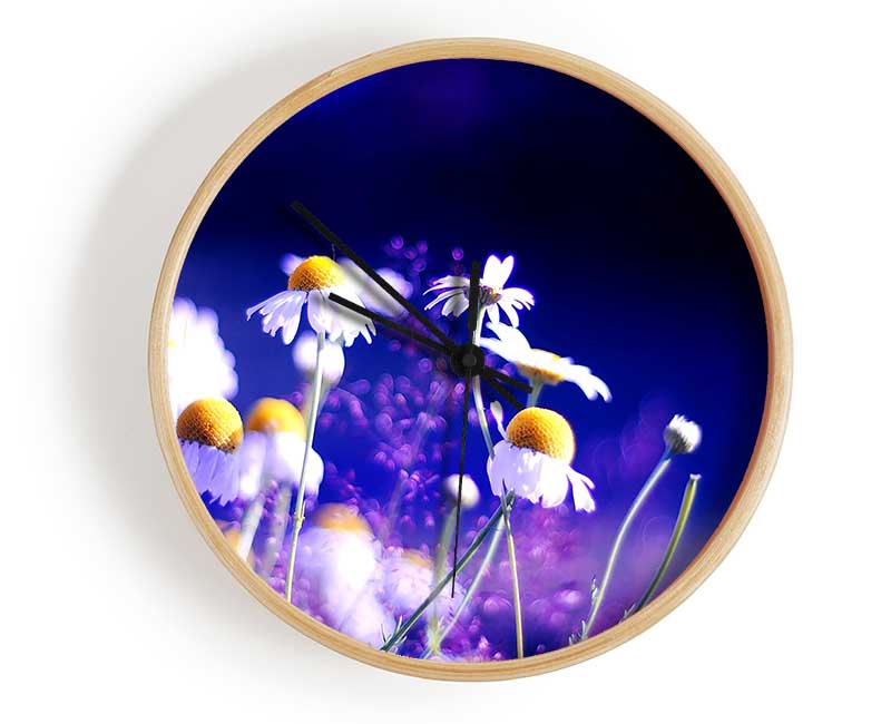 Beautiful Chamomile Flowers Clock - Wallart-Direct UK