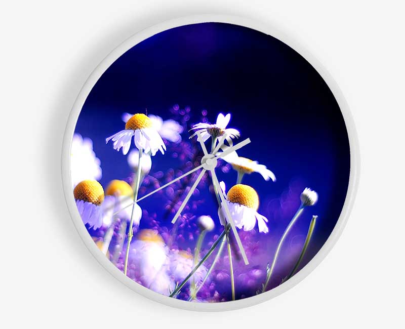 Beautiful Chamomile Flowers Clock - Wallart-Direct UK