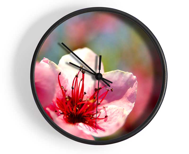 Pink Flower Cherry Tree Clock - Wallart-Direct UK