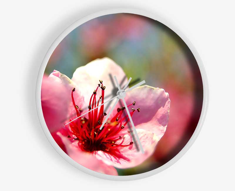 Pink Flower Cherry Tree Clock - Wallart-Direct UK