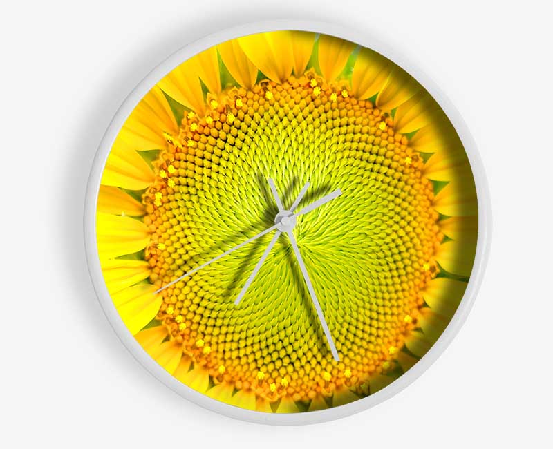 Dear Summer Clock - Wallart-Direct UK