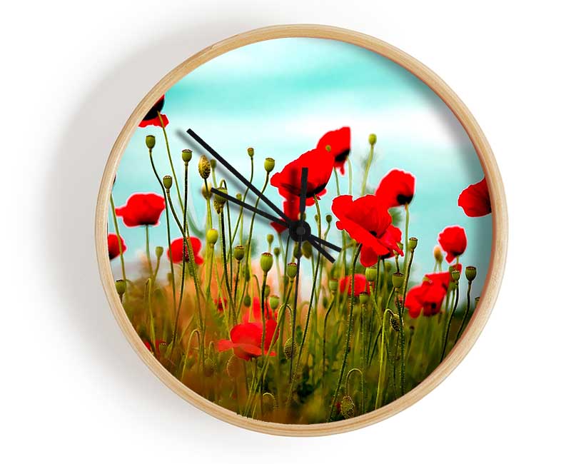 Beautiful Poppy Field Skies Clock - Wallart-Direct UK