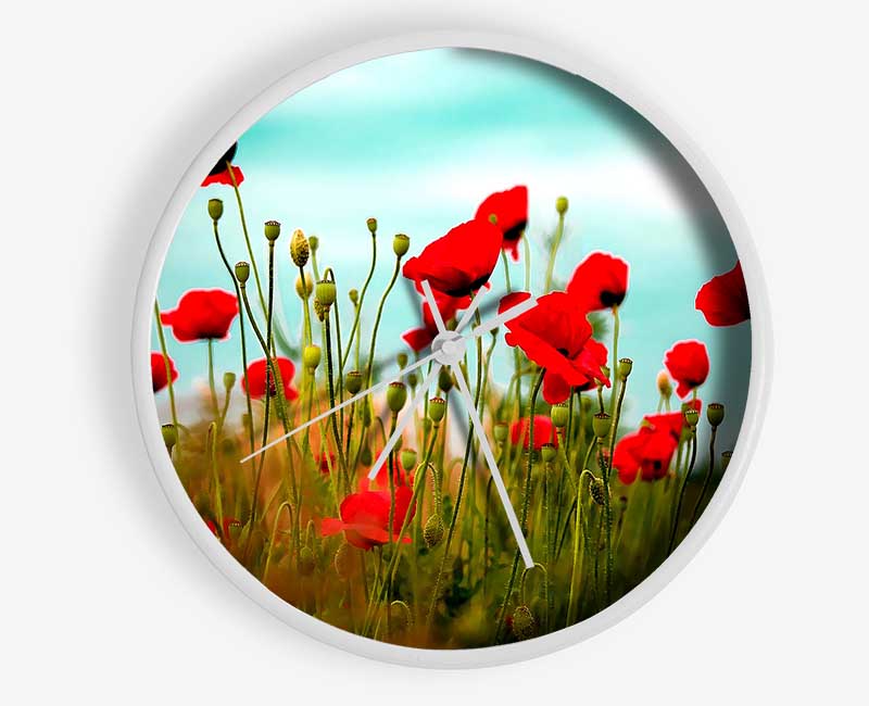 Beautiful Poppy Field Skies Clock - Wallart-Direct UK