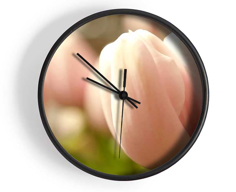 Baby Pink Tulip Clock - Wallart-Direct UK