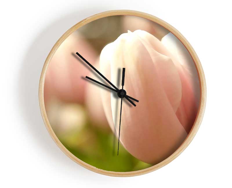 Baby Pink Tulip Clock - Wallart-Direct UK