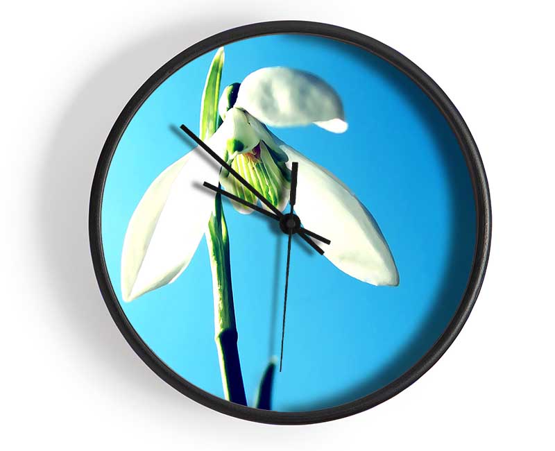 Snowdrop Spring Clock - Wallart-Direct UK