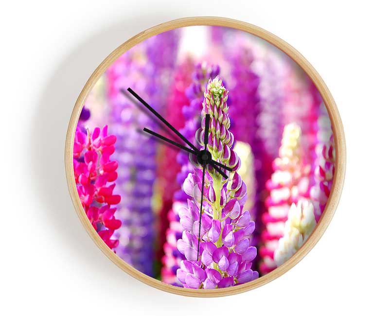 Pink And Purple Lupin Flowers Clock - Wallart-Direct UK