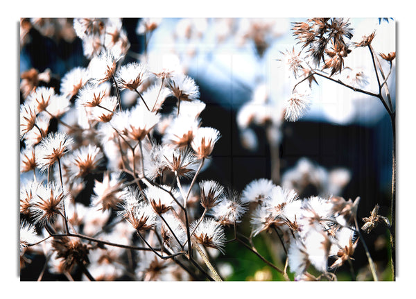 Flauschige Blumen