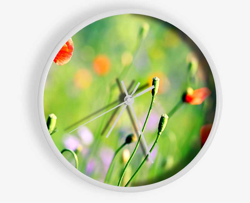 Poppy Meadow Clock - Wallart-Direct UK