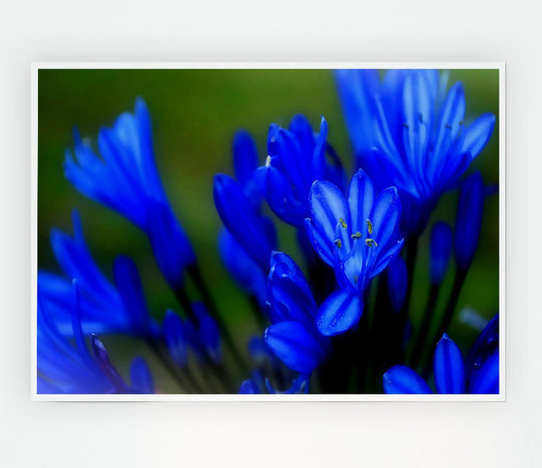 Blue Soft Look Print Poster Wall Art