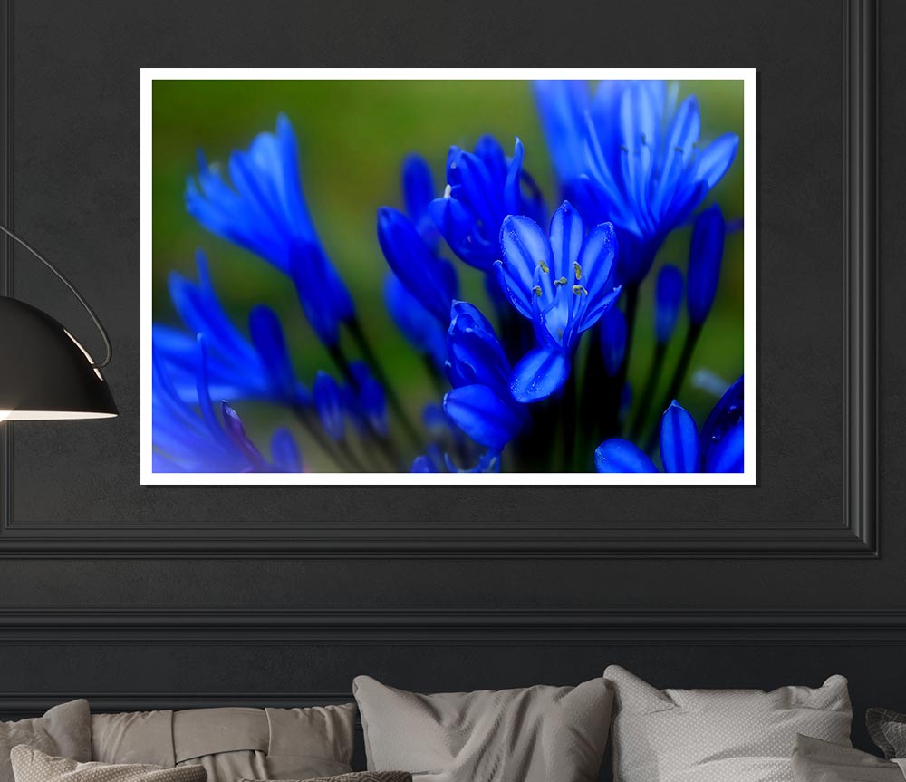 Blue Soft Look Print Poster Wall Art