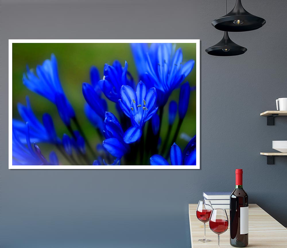 Blue Soft Look Print Poster Wall Art