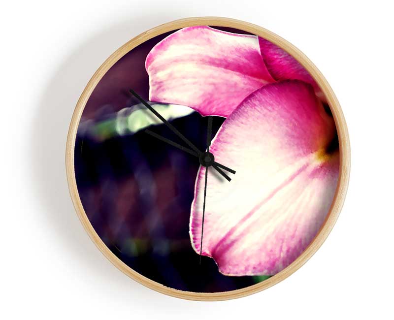 Close_up Of A Pink Petal