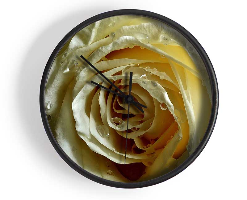 White Rose On Black Velvet Clock - Wallart-Direct UK